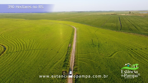 Renato Borghetti   Kilómetro Once (Transito Cocomarola)   Instrumental Sesc Brasil [VDownloader].00_01_27_03.Quadro025_f82b6cb665c203a50724a72e80f7ce879a3d7b69.jpg